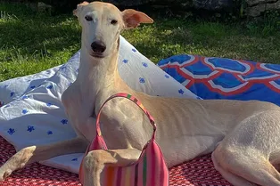 10 модных сумок, которые можно купить на распродаже прямо сейчас