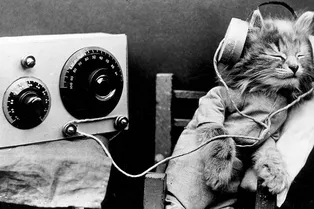 5 интересных подкастов, на которые стоит подписаться