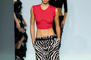 Выбор дизайнеров: юбка с этим принтом станет хитом сезона