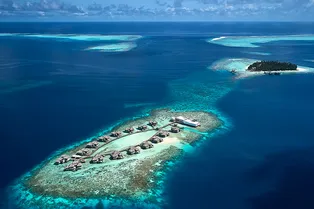 В этом декабре наряжаем пальму: почему Мальдивы — самое волшебное новогоднее чудо