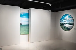 140 работ — и все о лете. В «Зарядье» открылась самая яркая и теплая выставка сезона