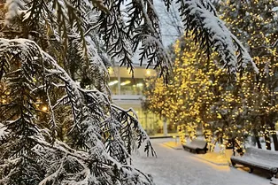 Приключение одного дня: 5 идей для коротких поездок из Москвы