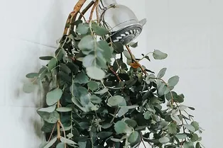 Зачем нужно вешать ветки эвкалипта в душе