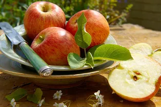 Полезно ли есть яблоки каждый день