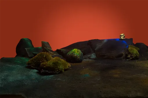 Амбра Питтони «Конец времени. Пейзаж» / Ambra Pittoni, End of Time, a landscape, 2016 Амбра Питтони «Конец времени. Пейзаж» / Ambra Pittoni, End of Time, a landscape, 2016