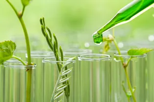 За какими ингредиентами в косметике будущее