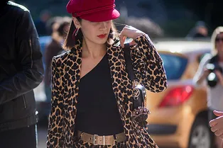 В зоне риска: Белла Хадид в леопардовом костюме Frame