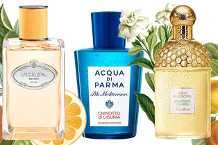 13 лучших цитрусовых ароматов