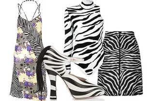 Зебра — еще один животный принт, который мог бы потеснить леопардовый