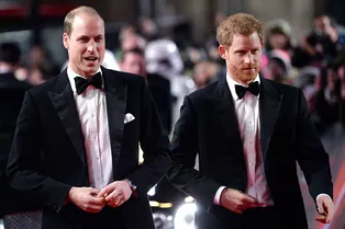 Ради принцессы Дианы: Принцы Уильям и Гарри помирились?