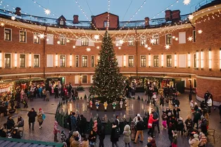 Чем заняться на новогодних праздниках в Санкт-Петербурге
