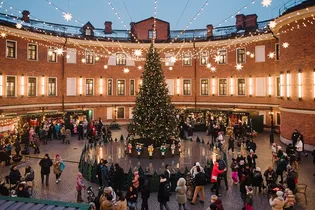 Чем заняться на новогодних праздниках в Санкт-Петербурге