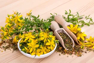 Чем полезен чай из зверобоя