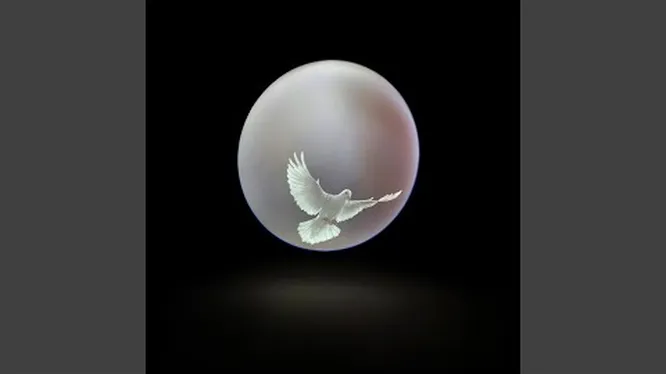 Нажмите и смотрите Нажмите и смотрите