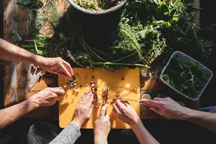 Где вкусно поесть в Иерусалиме и почему это хорошо сделать в ноябре