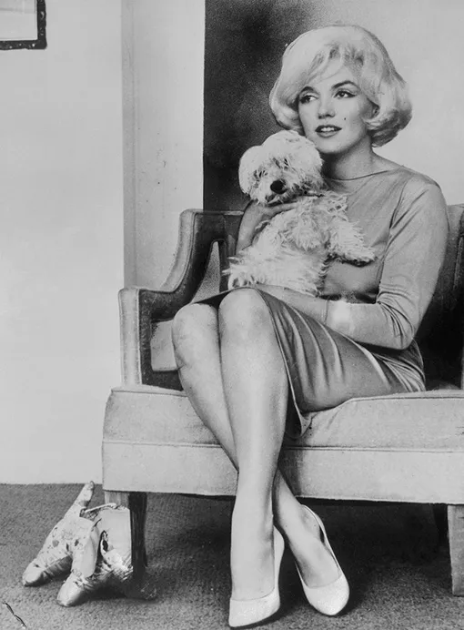 Мэрилин Монро и ее собака Маф, 1955