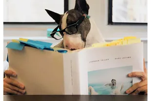 6 способов приучить себя читать больше