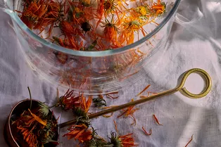 5 причин пить чай из календулы