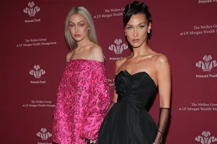 Барби Джиджи Хадид и Наоми Кэмпбелл в Valentino, Белла — в черном Dior: гости гала-вечера в Нью-Йорке