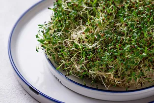 В чем польза микрозелени