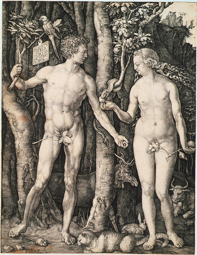 Альбрехт Дюрер. Адам и Ева. Германия, Нюрнберг. 1504 г. Бумага без водяных знаков; гравюра резцом.