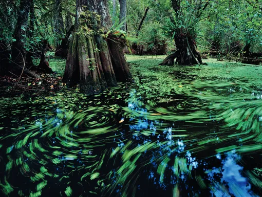Джек Дайкинга, Национальный парк Гавайские Вулканы, Га-вайи, август 2010.