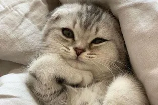 8 советов, которые сэкономят время на утренние сборы