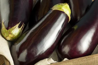 Чем полезны баклажаны