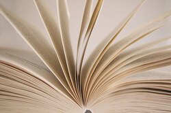 «Аутентичный» — слово 2023 года по версии словаря Merriam-Webster