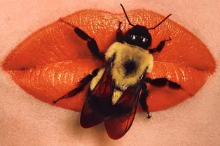 Ruarts превратился в райский сад: на новой выставке фонда можно увидеть природу глазами Ирвина Пенна, Андрея Бартенева и Игоря Шелковского