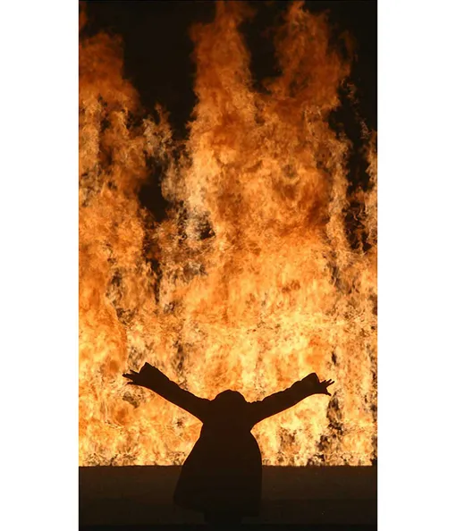Билл Виола. Огненная женщина. 2005. Видео/звуковая инсталляция. 11'12’’