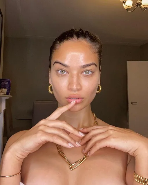 @shaninamshaik