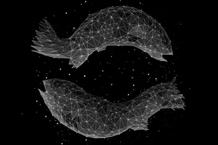 Гороскоп на 2019 год: Рыбы