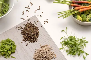 3 рецепта полезных согревающих супов