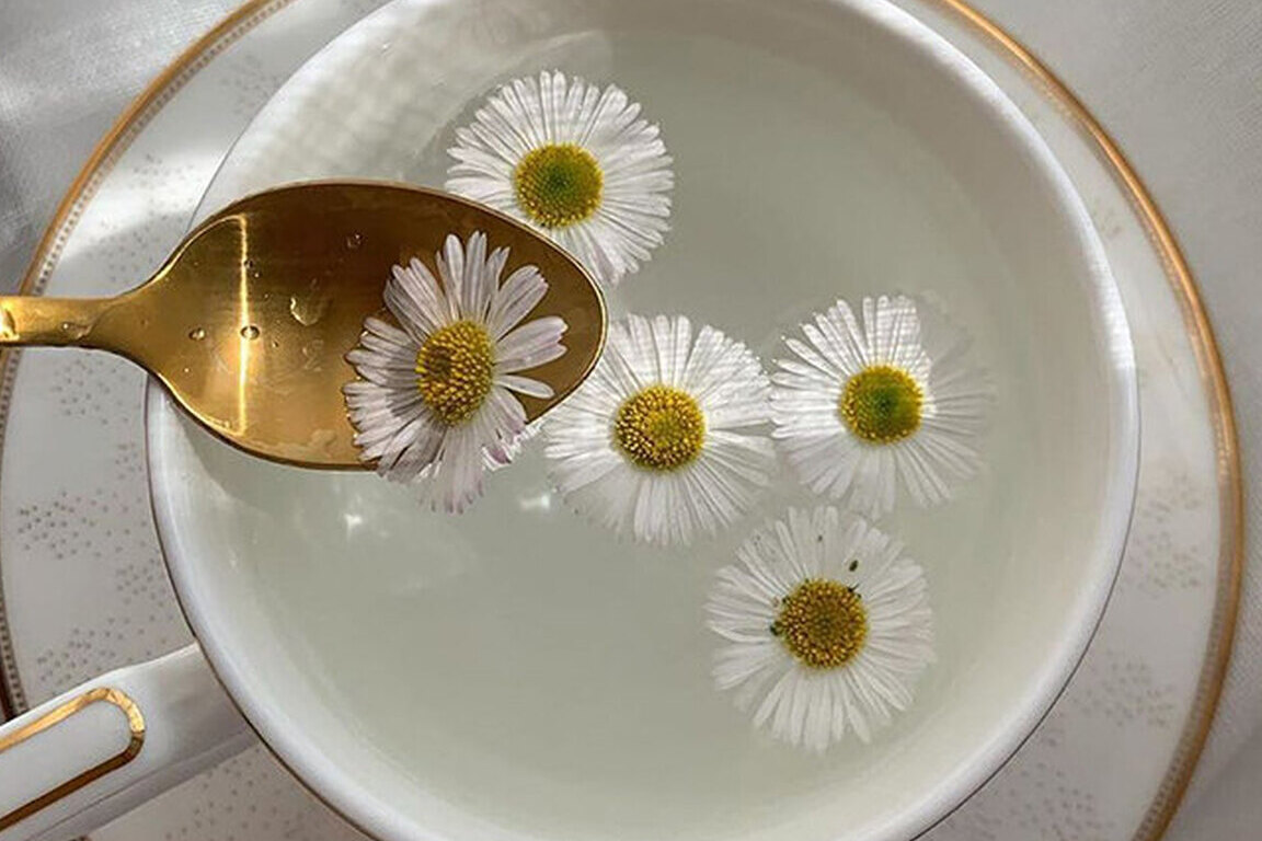 Ромашка крепит. Чем полезна ромашка для кожи.