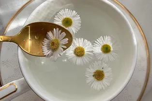 5 трав, которые помогут пищеварению