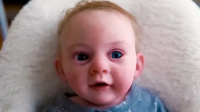 Нажмите и смотрите Нажмите и смотрите