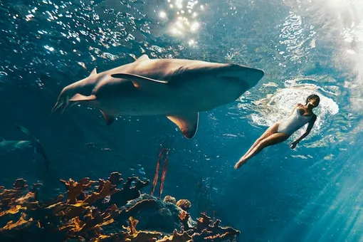 Рианна в своей стихии