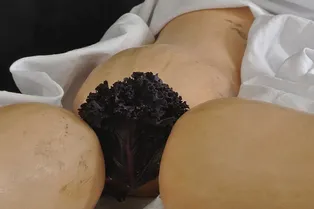 Мы #заЮлю: тело — не порнография. Быть женщиной — не преступление