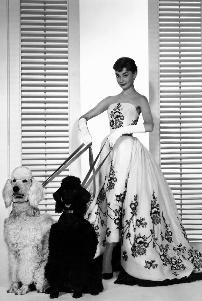 Одри Хепберн на сьемках «Сабрины», 1954 год