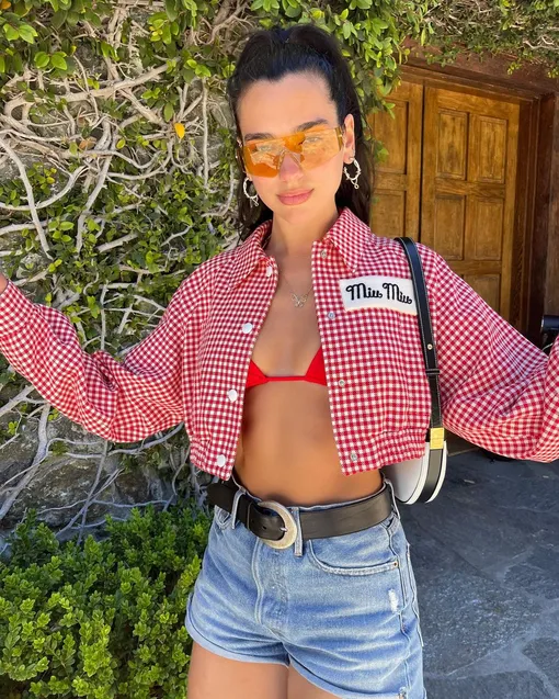 dualipa