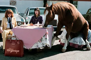 Gucci покажут круизную коллекцию в Сан-Франциско