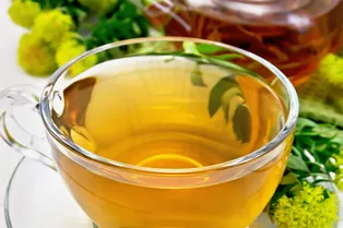 «Золотой корень» Алтая — чем полезен чай из родиолы розовой