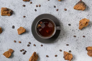 Гриб чага — российский суперфуд, от которого сходит с ума весь мир