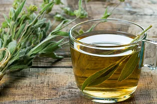 Свежее дыхание и контроль сахара: чем еще полезен чай из шалфея