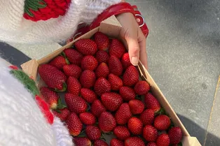 Сезон клубники: чем она на самом деле полезна