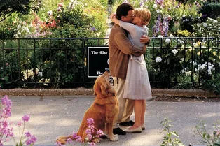 Весне дорогу: 10 фильмов, которые спасут от зимней хандры