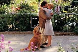 Весне дорогу: 10 фильмов, которые спасут от зимней хандры