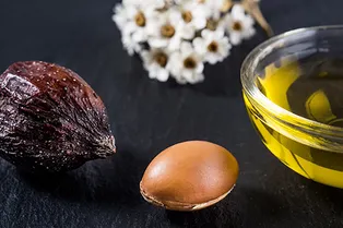 Какое масло лучше: аргановое VS кокосовое Какое масло лучше: аргановое VS кокосовое