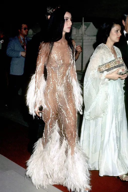 Шер на Met Gala в 1974 году